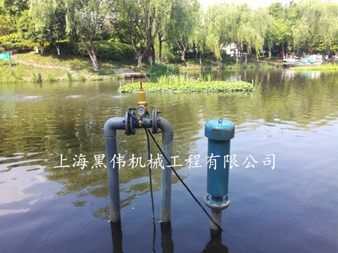 河道治理沉水式鼓風機 河道治理沉水式鼓風機